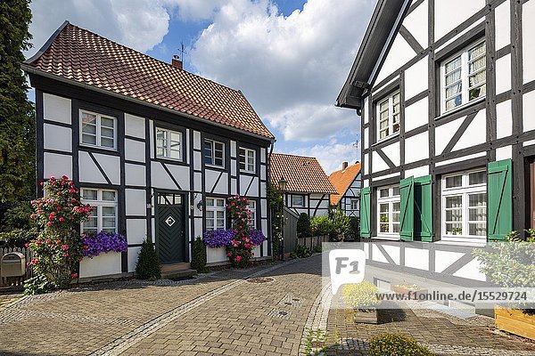 Herten Westerholt Germany North Rhine-Westphalia NRW Westphalia Ruhr area D-Herten D-Herten-Westerholt Old Village Westerholt Alte Freiheit Westerholt half-timbered houses at the Martini Street flowers green window shutters