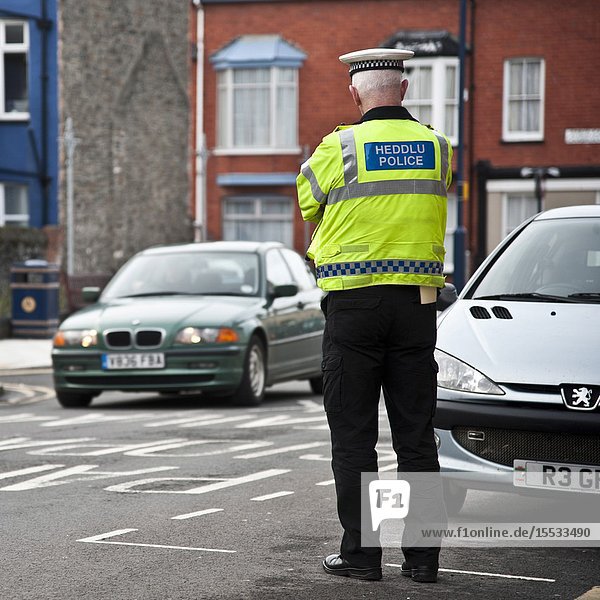 Rear view of a traffic policeman watching cars driving on a town street Wales UK.
