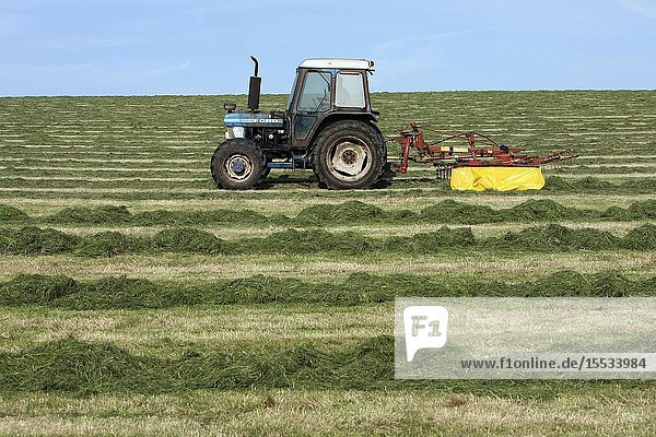 16 year old driving a tractor & raking up cut grass for cattle feed whilst on work experience Dorset