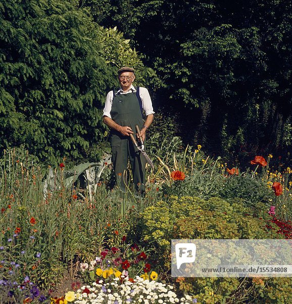 Elderly man gardening