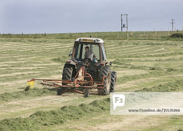 16 year old driving a tractor & raking up cut grass for cattle feed whilst on work experience Dorset