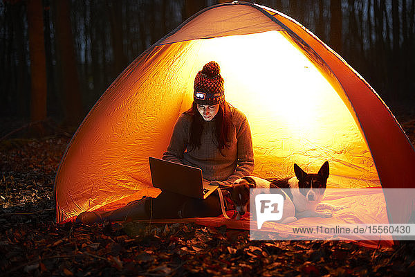 Frau mit Hund benutzt Laptop in leuchtendem Zelt