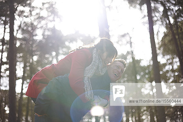 Glückliches  verspieltes Paar  das im sonnigen Herbstwald Huckepack nimmt