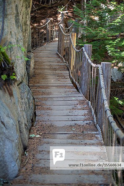 A trail meant either for hiking or mountain bikes is one of a network of trails through a dense forest to summit views of Columbia Valley. British Columbia.
