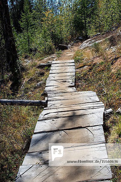 Wooden boards connect key prts of a mountain bike trail in Castlegar British Columbia.