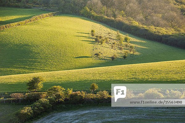 Spring in South Downs National Park West Sussex England.