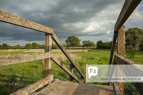 Spring evening in the West Sussex countryside England.