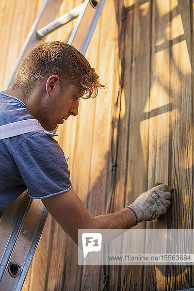 Männlicher Arbeiter auf einer Leiter  der Holzverkleidungen an der Außenseite eines Hauses färbt