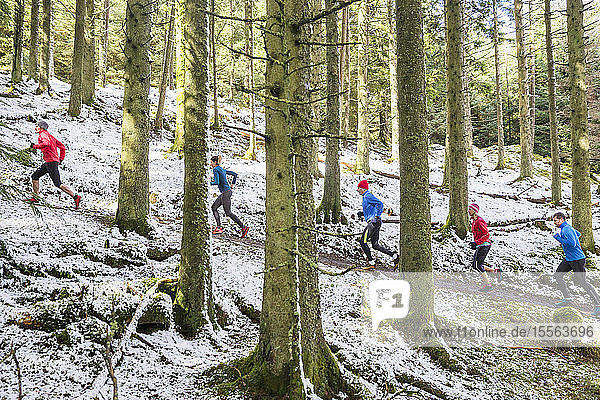 Friends jogging in snowy woods