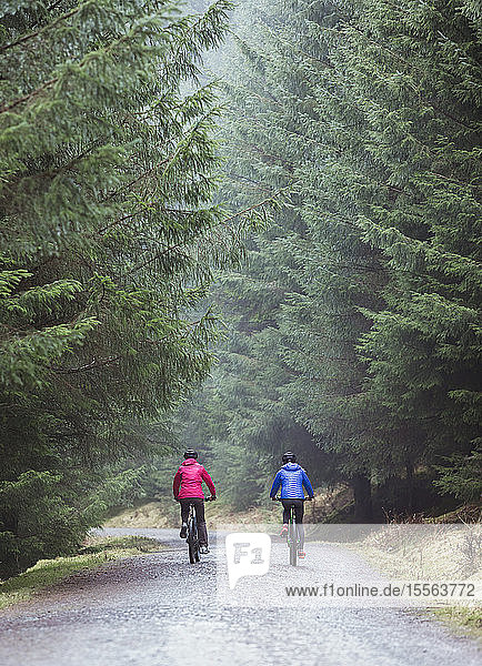 Couple mountain biking in woods