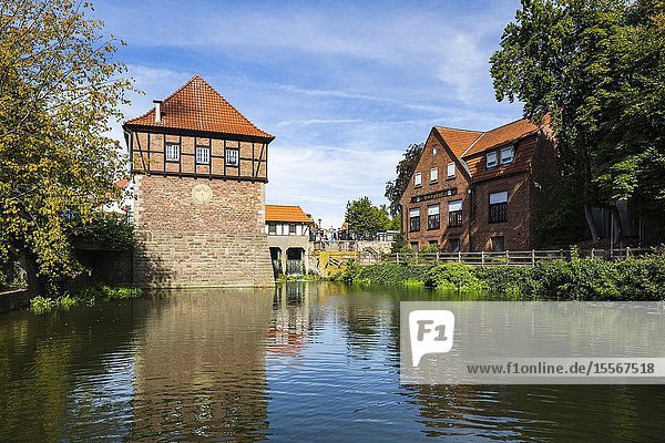 Luedinghausen D-Luedinghausen Stever Muensterland Westphalia North Rhine-Westphalia NRW Borgmuehle Borg Mill at the Stever Muehlenstever water mill pond *** Local Caption ***.