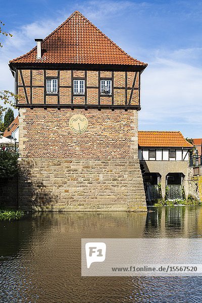 Luedinghausen D-Luedinghausen Stever Muensterland Westphalia North Rhine-Westphalia NRW Borgmuehle Borg Mill at the Stever Muehlenstever water mill pond *** Local Caption ***.