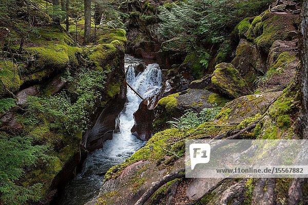 Lower Avalanche Gorge is one of the highlights of hikinh the Avalanche Lake trail in west Glacier Glacier National Park.
