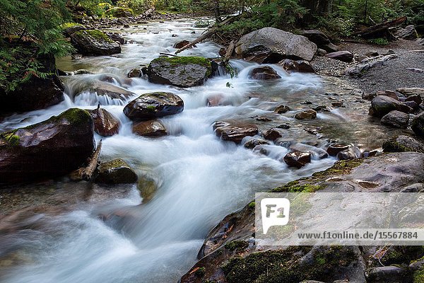 Lower Avalanche Gorge is one of the highlights of hiking the Avalanche Lake trail in west Glacier Glacier National Park.