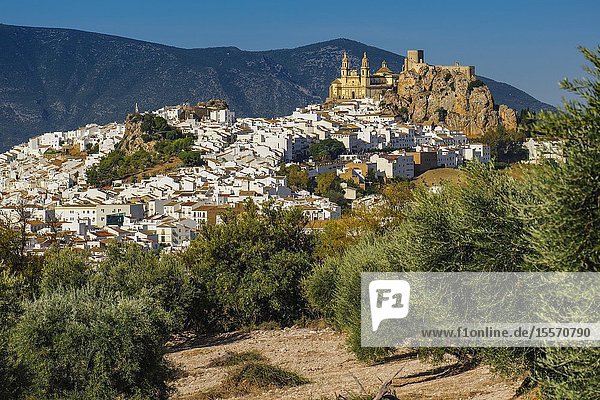 White village of Olvera Moorish castle & Church of Our Lady of the Incarnation. Pueblos Blancos de la Sierra de Cadiz. Southern Andalusia Spain. Europe.