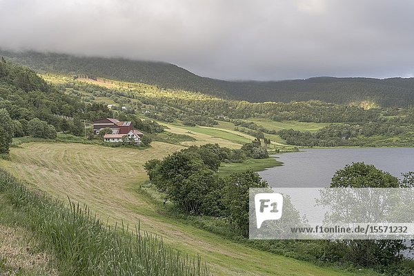Landscape with green meadows on shore of little lake shot under bright light at Kasfjord lake Hinnoya Vesteralen Norway.