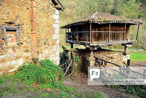 Traditional Asturian granary. Green Path of Trubia river or Bear's Path between Tuñon and San Andres Asturias Spain