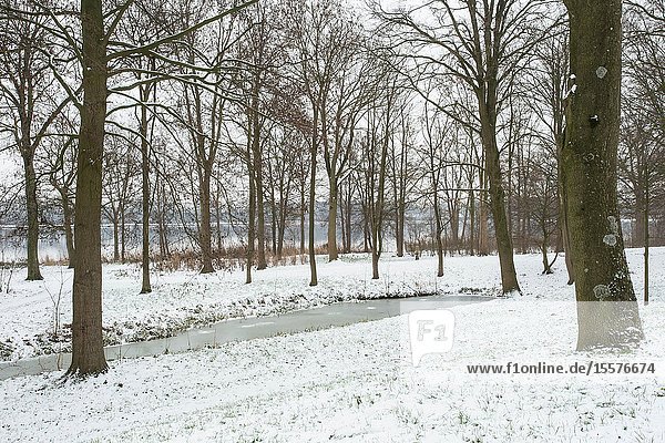 Winter landscape with a lake and trees covered with snow  white winter season beauty.