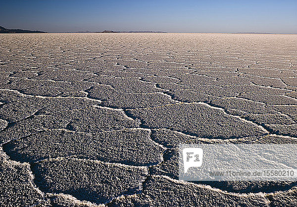 USA  Nevada  Blick auf die Salzwüste