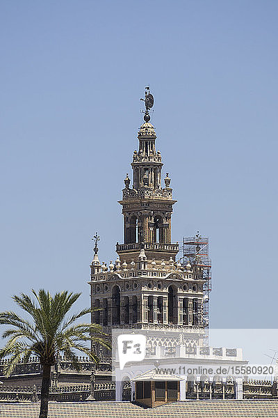 Catedral de Sevilla gegen den klaren Himmel in Andalusien  Spanien