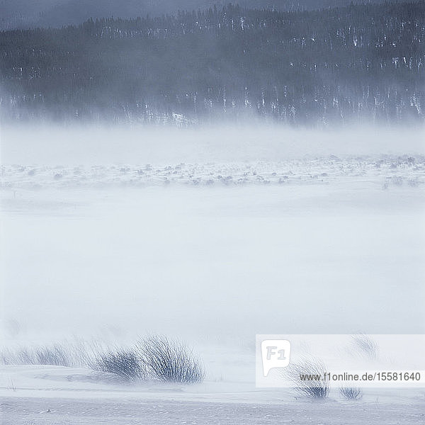 View of winter landscape