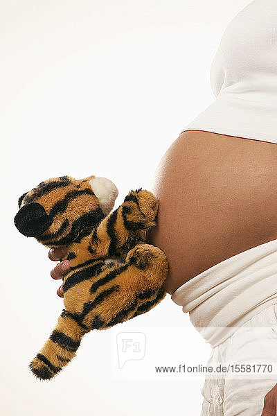 Schwangere Frau hält Plüschtier auf dem Bauch  Mittelteil  Nahaufnahme