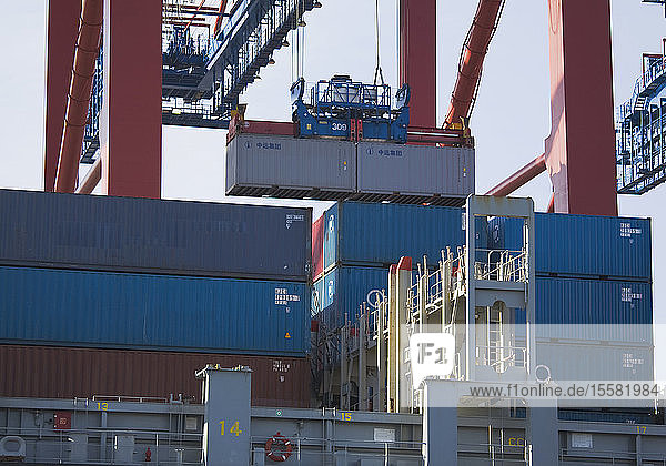 Deutschland  Hamburg  Verladung von Frachtcontainern im Hafen