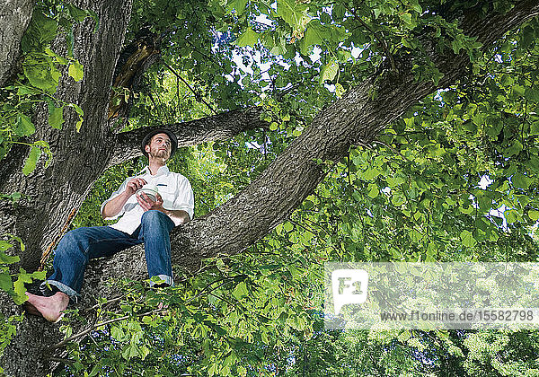 Germany  Young man sitting on tree