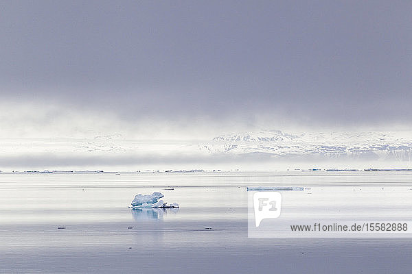 Europa  Norwegen  Spitzbergen  Svalbard  Blick auf kleinen Eisberg auf dem Wasser