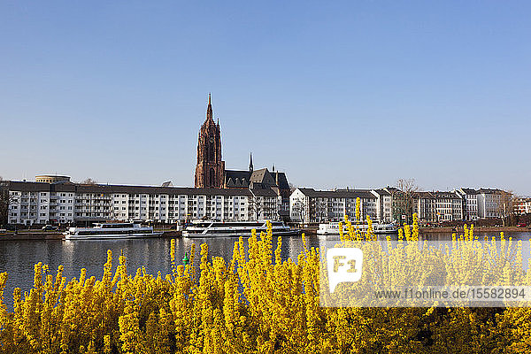 Deutschland  Frankfurt  Blick auf den Kaiserdom St. Bartholomaus und Fluss mit Ausflugsboot