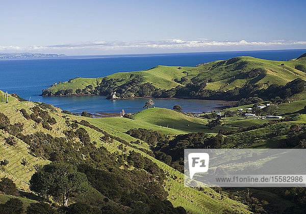 Neuseeland  Blick auf die Coromandel-Halbinsel