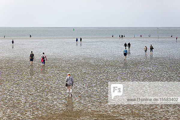 Germany Schleswig-Holstein Buesum