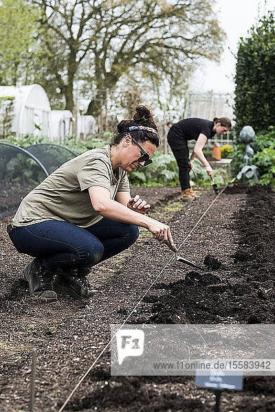 Zwei Frauen  die in einem Gemüsegarten auf einem frisch gepflanzten Erdbett arbeiten.