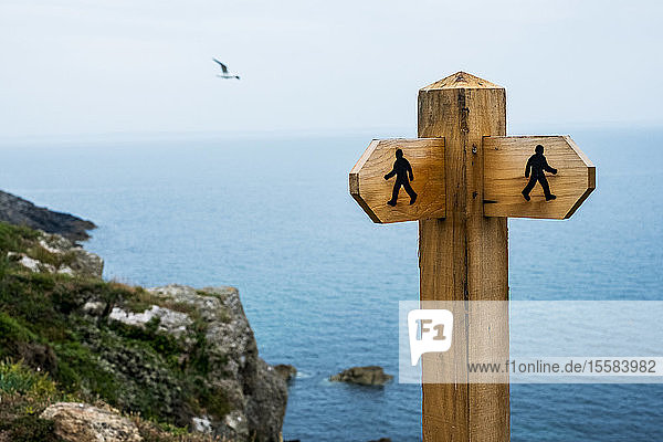 Hölzerner Wegweiser auf einem Wanderweg entlang der Küste von Pembrokeshire  Wales  Großbritannien.