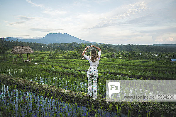 Rückansicht einer Frau  die in einem Reisfeld auf Bali  Indonesien  steht