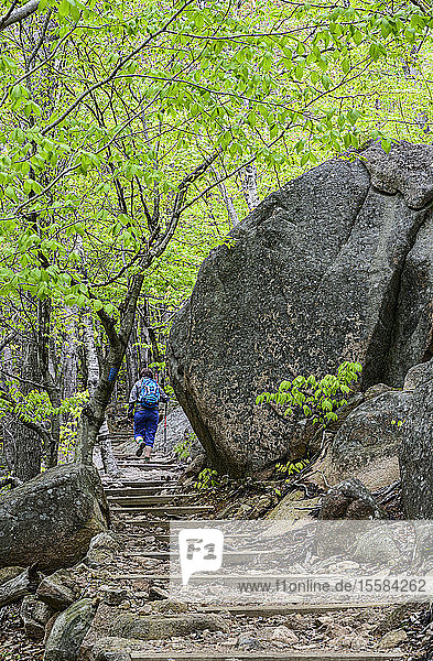Frau wandert über eine Treppe im Wald