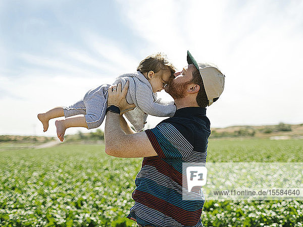Vater küsst den Kopf eines kleinen Mädchens im Getreidefeld