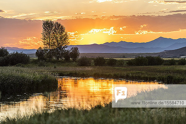 Fluss bei Sonnenuntergang in Picabo  Idaho  USA