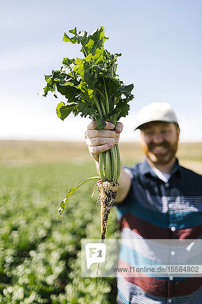 Lächelnder Mann  der eine Gemüseernte auf einem Feld hält