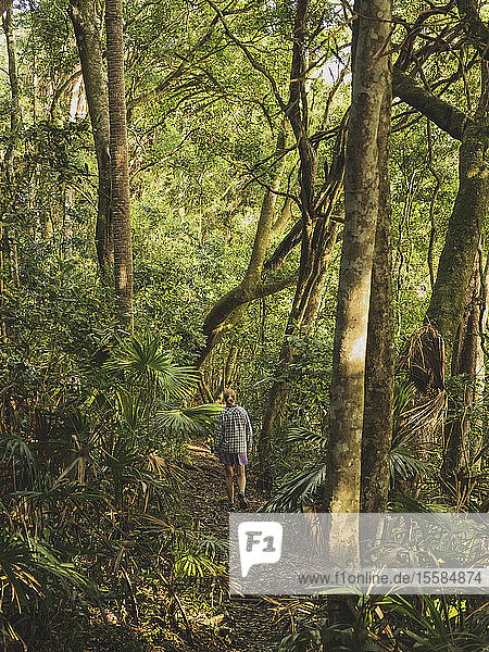 Woman walking in forest in Myall Lakes National Park  Australia