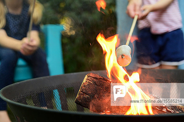 Family toasting marshmallows over brazier