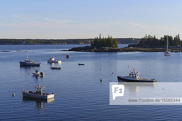 Boote in Seal Harbor  Mount Desert Island  USA