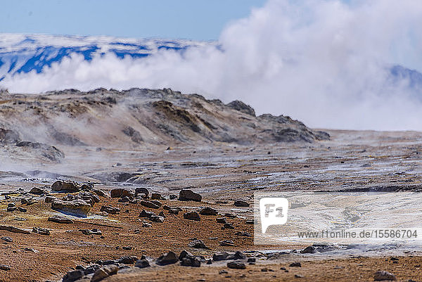 Karge Landschaft mit Dampf  der über Felsen aufsteigt  Akureyri  Eyjafjardarsysla  Island