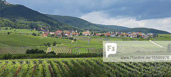 Dorf in den Weinbergen  Pfalz  Rheinland Pfalz  Deutschland