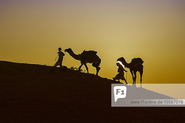 Zwei Rabari-Männer besteigen mit ihren Dromedaren bei Sonnenuntergang eine Düne  Great Rann of Kutch Desert  Gujarat  Indien