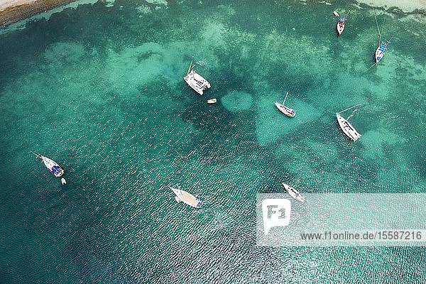 Luftaufnahme einer Drohne von Segelbooten und Katamaranen im Karibischen Meer  Antillen  Westindische Inseln  Karibik