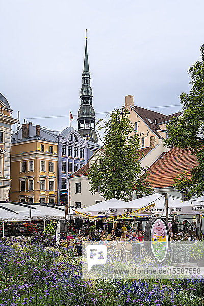 Livu-Platz und St. Peterskirche  UNESCO-Weltkulturerbe  Riga  Lettland