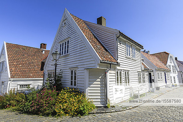Schöne Altstadt  gepflasterte Straße  Blumen und weiße Holzhäuser  blauer Himmel im Sommer  Gamle Stavanger  Rogaland  Norwegen  Skandinavien