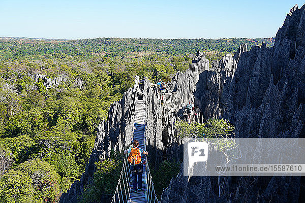 Tsingy de Bemaraha-Nationalpark  UNESCO-Welterbe  Region Melaky  West-Madagaskar  Afrika