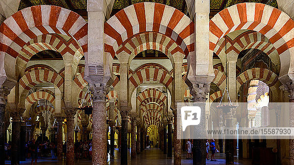 Verzierte Bögen und Säulen der Mezquita-Catedral (Große Moschee von Cordoba)  UNESCO-Weltkulturerbe  Cordoba  Andalusien  Spanien